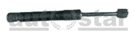 AFA Autostar AMN01-005 - MUELLE NEUMáTICO