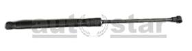 AFA Autostar AMN01-006 - MUELLE NEUMáTICO