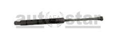 AFA Autostar AMN05-010 - MUELLE NEUMáTICO
